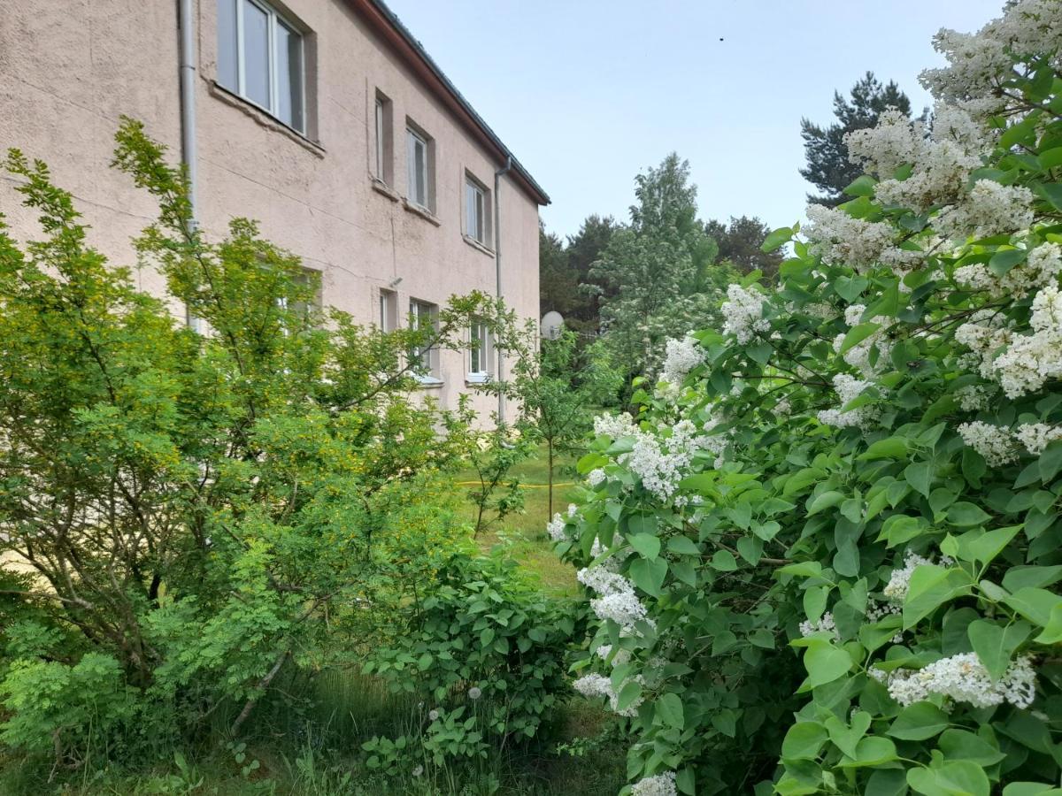 Quiet Summer Apartment Aucugals Exterior photo